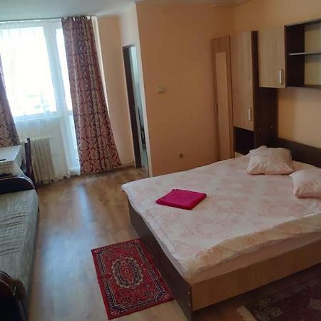 Appartement Flora Apartament à Satu Mare Extérieur photo