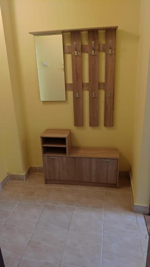 Appartement Flora Apartament à Satu Mare Extérieur photo