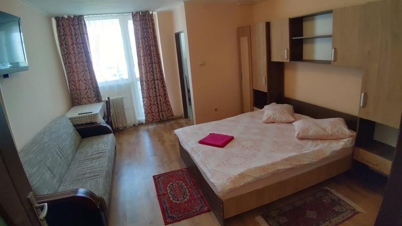 Appartement Flora Apartament à Satu Mare Extérieur photo