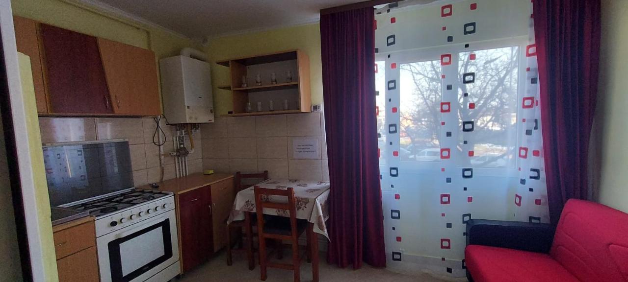Appartement Flora Apartament à Satu Mare Extérieur photo