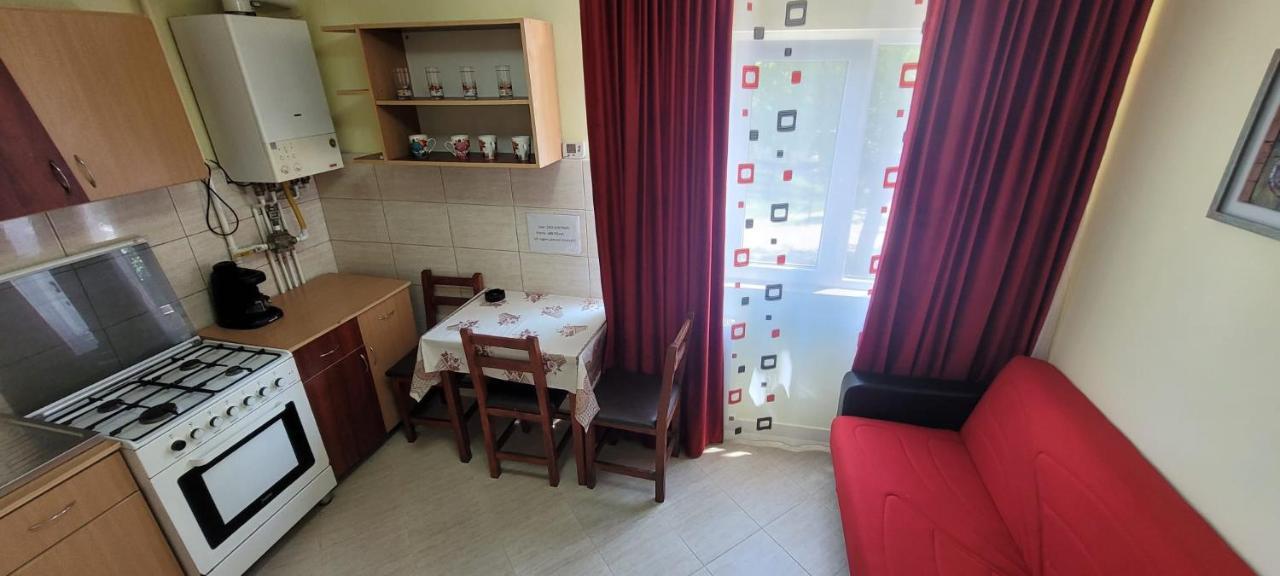 Appartement Flora Apartament à Satu Mare Extérieur photo