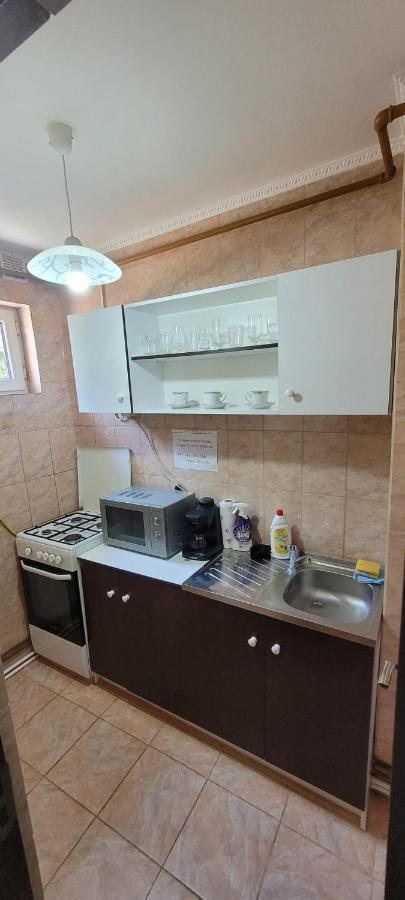 Appartement Flora Apartament à Satu Mare Extérieur photo
