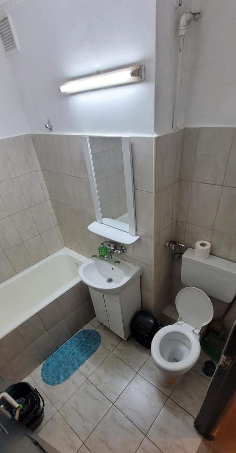 Appartement Flora Apartament à Satu Mare Extérieur photo